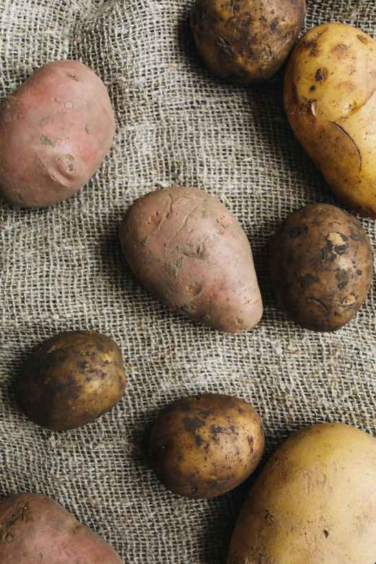 photo of potatoes on a fabric