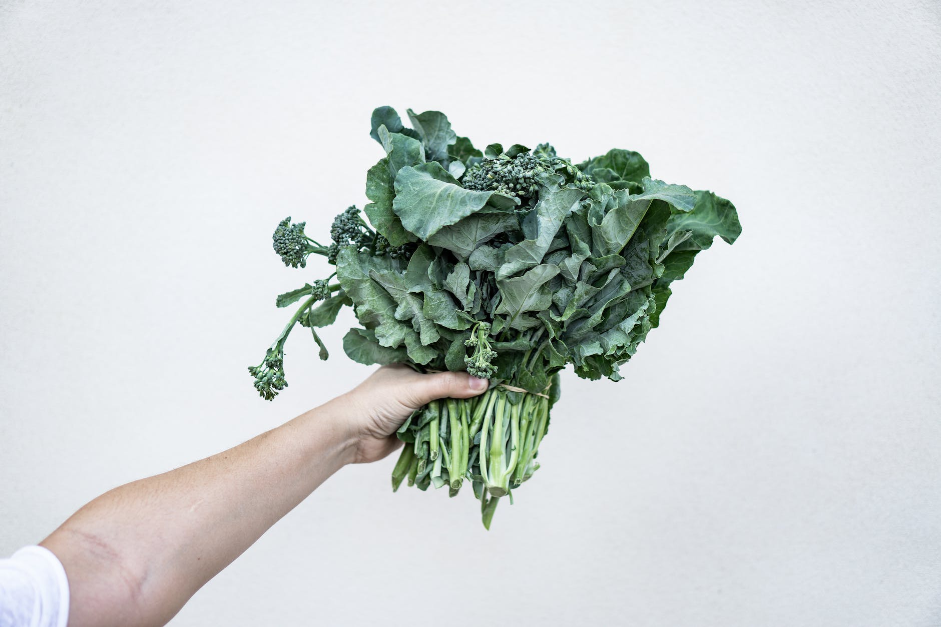 Chicken+Kale for Healthier Strands